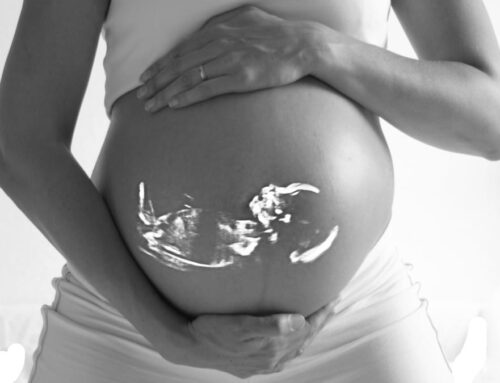 พัฒนาการ ของ ทารก ในครรภ์ ตลอด 9 เดือน