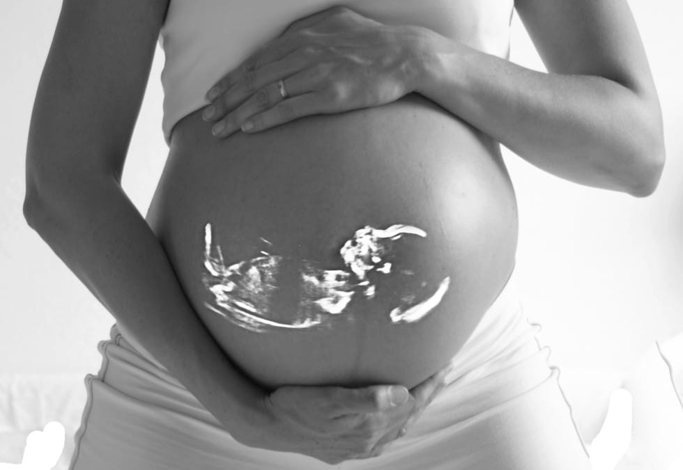 พัฒนาการ ของ ทารก ในครรภ์ ตลอด 9 เดือน