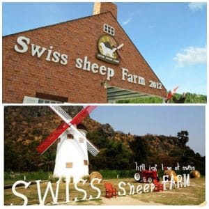 Swiss Sheep Farm_เพชรบุรี